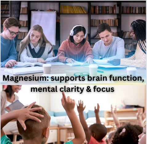 Organic Pure Microgreen Powder