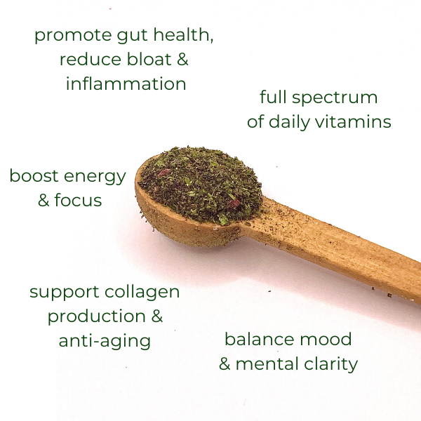 Organic Microgreen & Wild Blueberry Powder